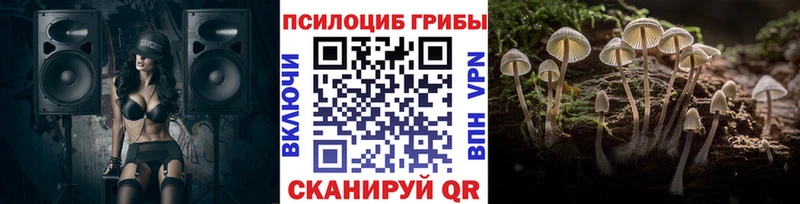Псилоцибиновые грибы прущие грибы  где продают наркотики  Верхняя Салда 